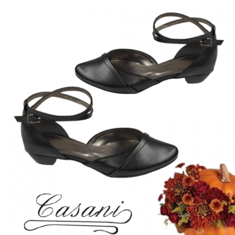 W/E-00319 CASANI